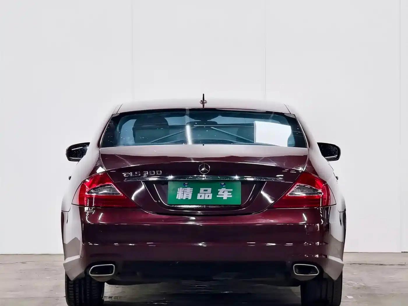 Mercedes-Benz CLS 2009 CLS 300 — миниатюра 5