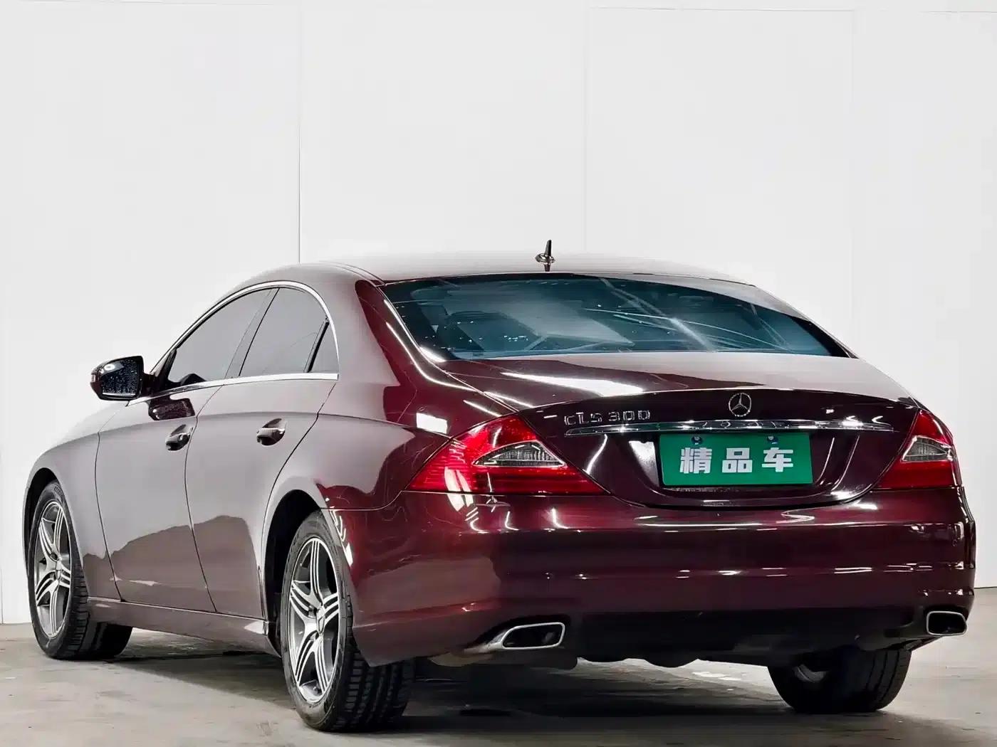 Mercedes-Benz CLS 2009 CLS 300 — миниатюра 6