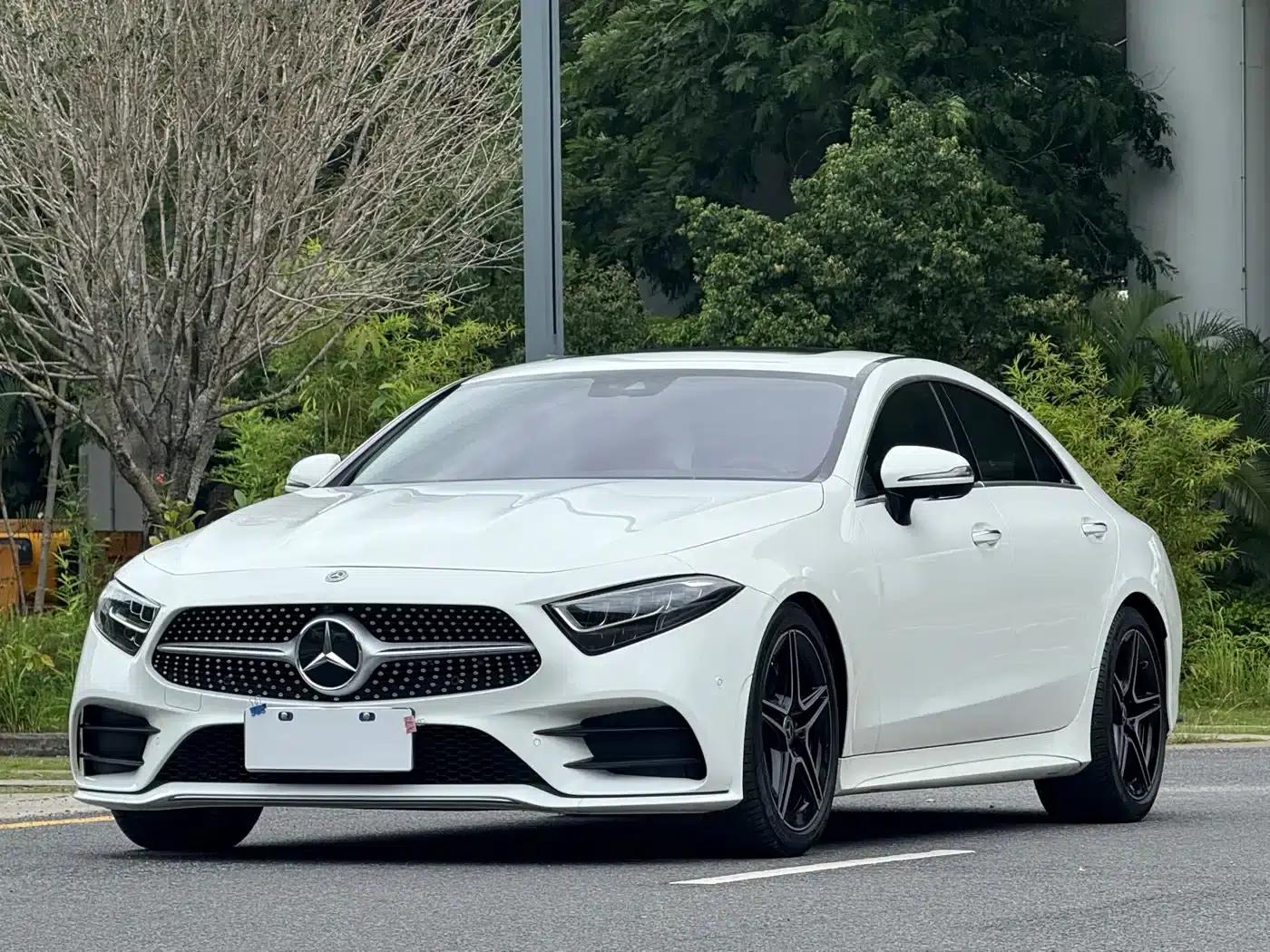Mercedes-Benz CLS 2021 CLS 300 Luxury — миниатюра 1