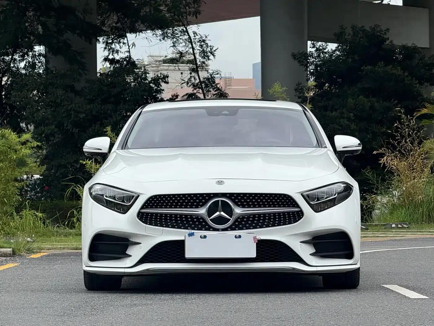 Mercedes-Benz CLS 2021 CLS 300 Luxury — миниатюра 2