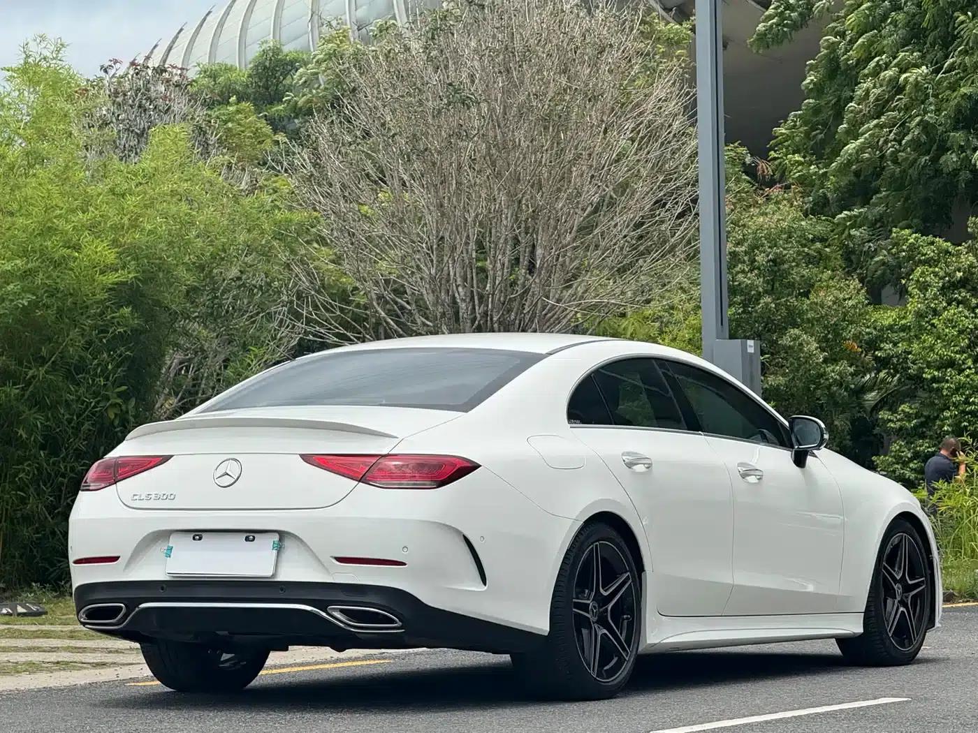 Mercedes-Benz CLS 2021 CLS 300 Luxury — миниатюра 4