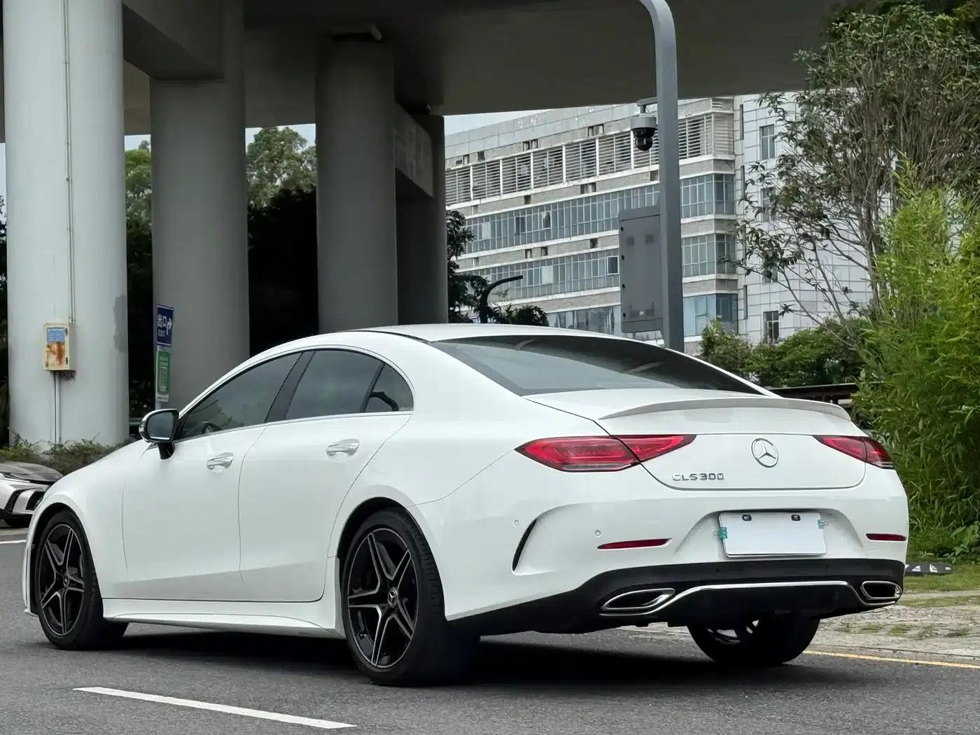 Mercedes-Benz CLS 2021 CLS 300 Luxury — миниатюра 5
