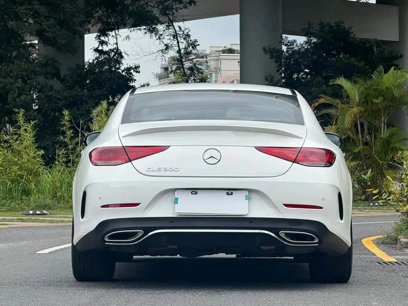 Mercedes-Benz CLS 2021 CLS 300 Luxury — миниатюра 6