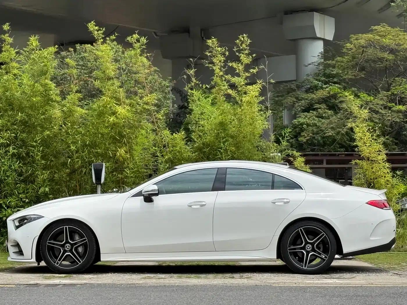 Mercedes-Benz CLS 2021 CLS 300 Luxury — миниатюра 7