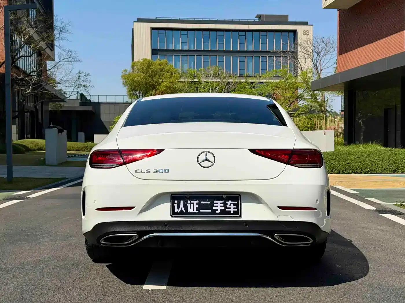Mercedes-Benz CLS 2020 CLS 300 Dynamic — миниатюра 5