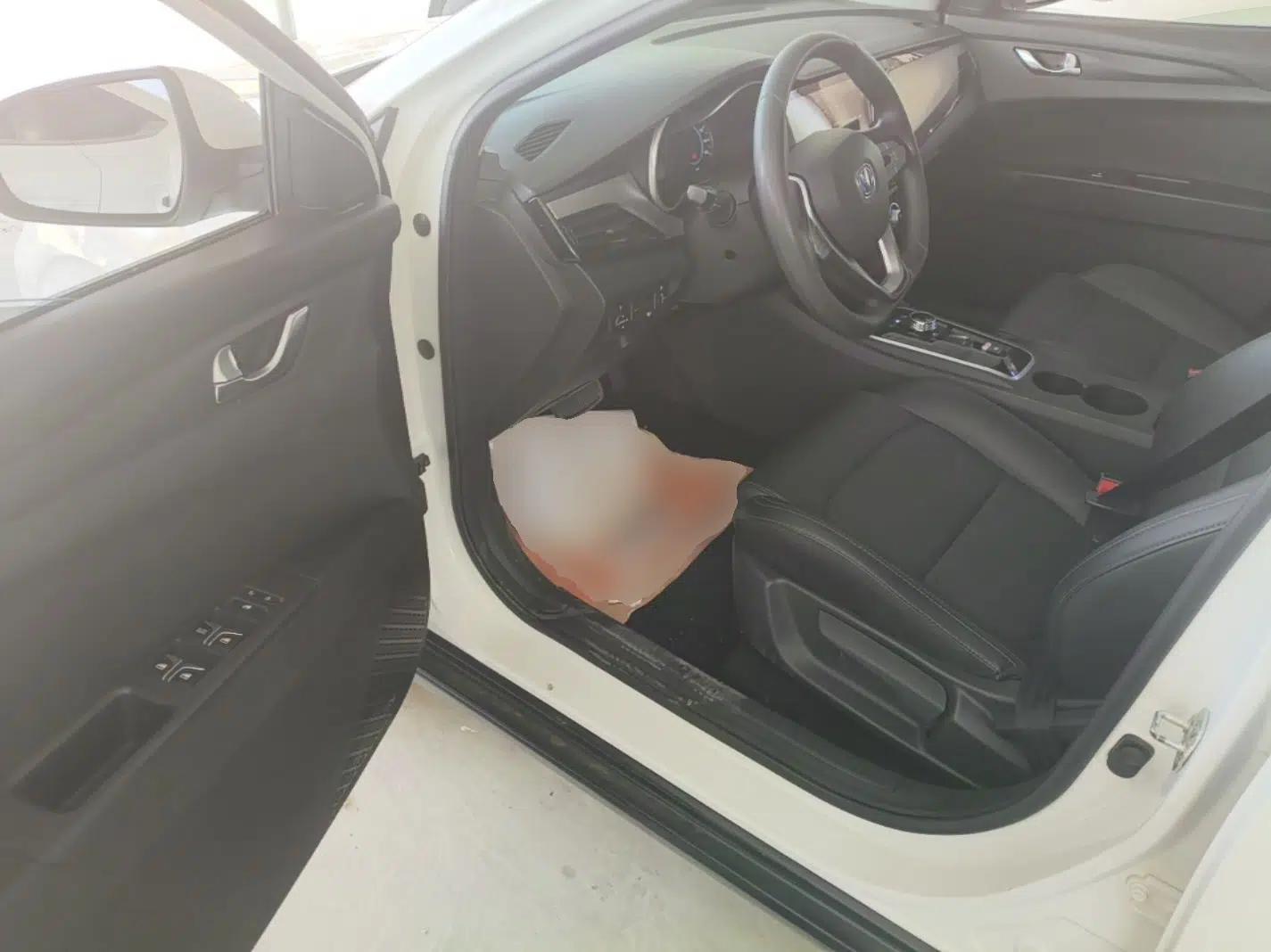 CHANGAN Eado New Energy 2022 EV460 Smart Ride-Hailing Edition – Lithium Iron Phosphate — миниатюра 19