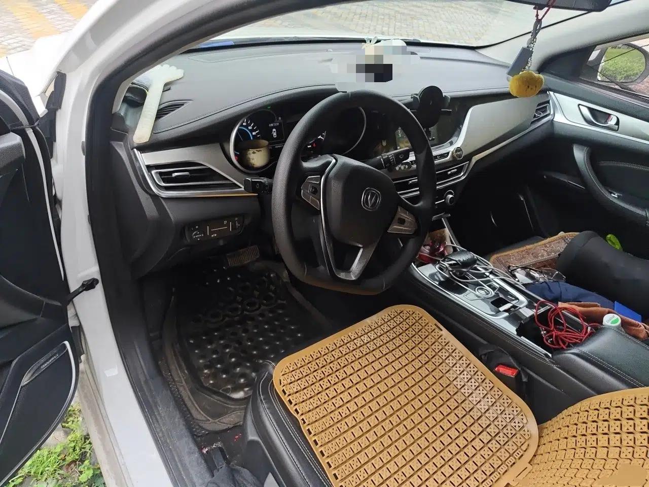 CHANGAN Eado New Energy 2019 EV460 Smart Edition — миниатюра 11