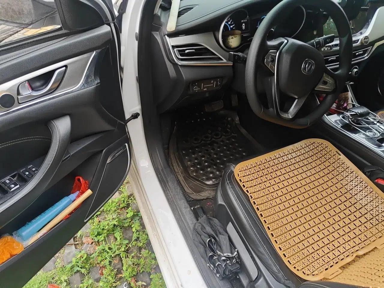 CHANGAN Eado New Energy 2019 EV460 Smart Edition — миниатюра 17