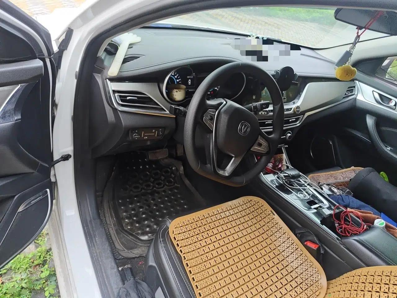 CHANGAN Eado New Energy 2019 EV460 Smart Edition — миниатюра 10