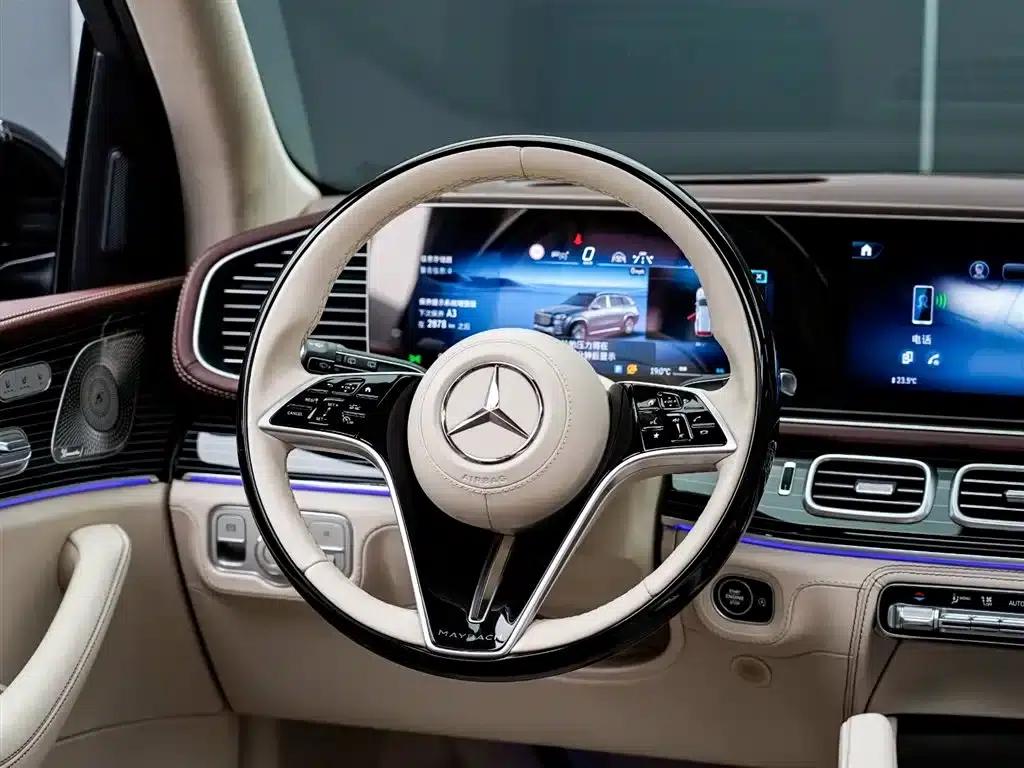 2024 Maybach GLS 600 4MATIC Elegance Edition — миниатюра 17