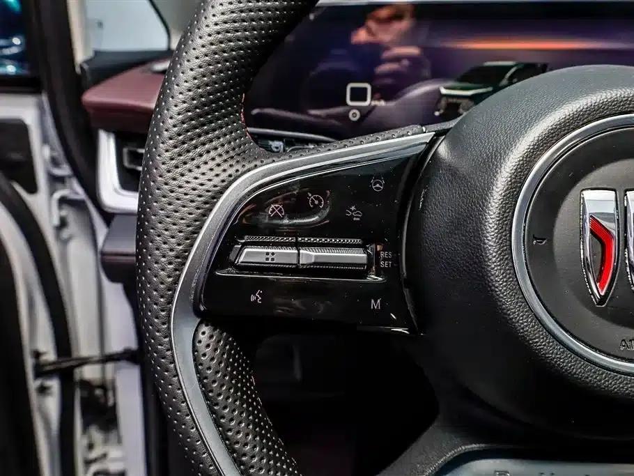 Century 2025 2.0T Six-Seat Luxury Edition — миниатюра 15