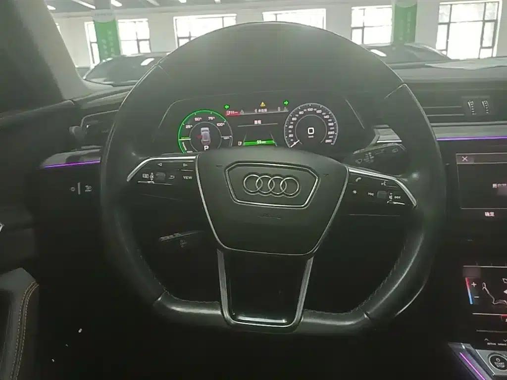 Audi e-tron 2021 50 quattro Premium Edition — миниатюра 11