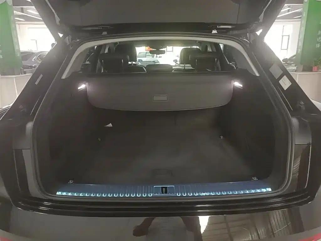 Audi e-tron 2021 50 quattro Premium Edition — миниатюра 19