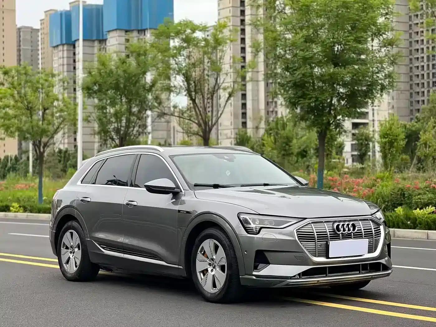 2019 Audi e-tron Imported Model 55 quattro Fashion Edition — миниатюра 3