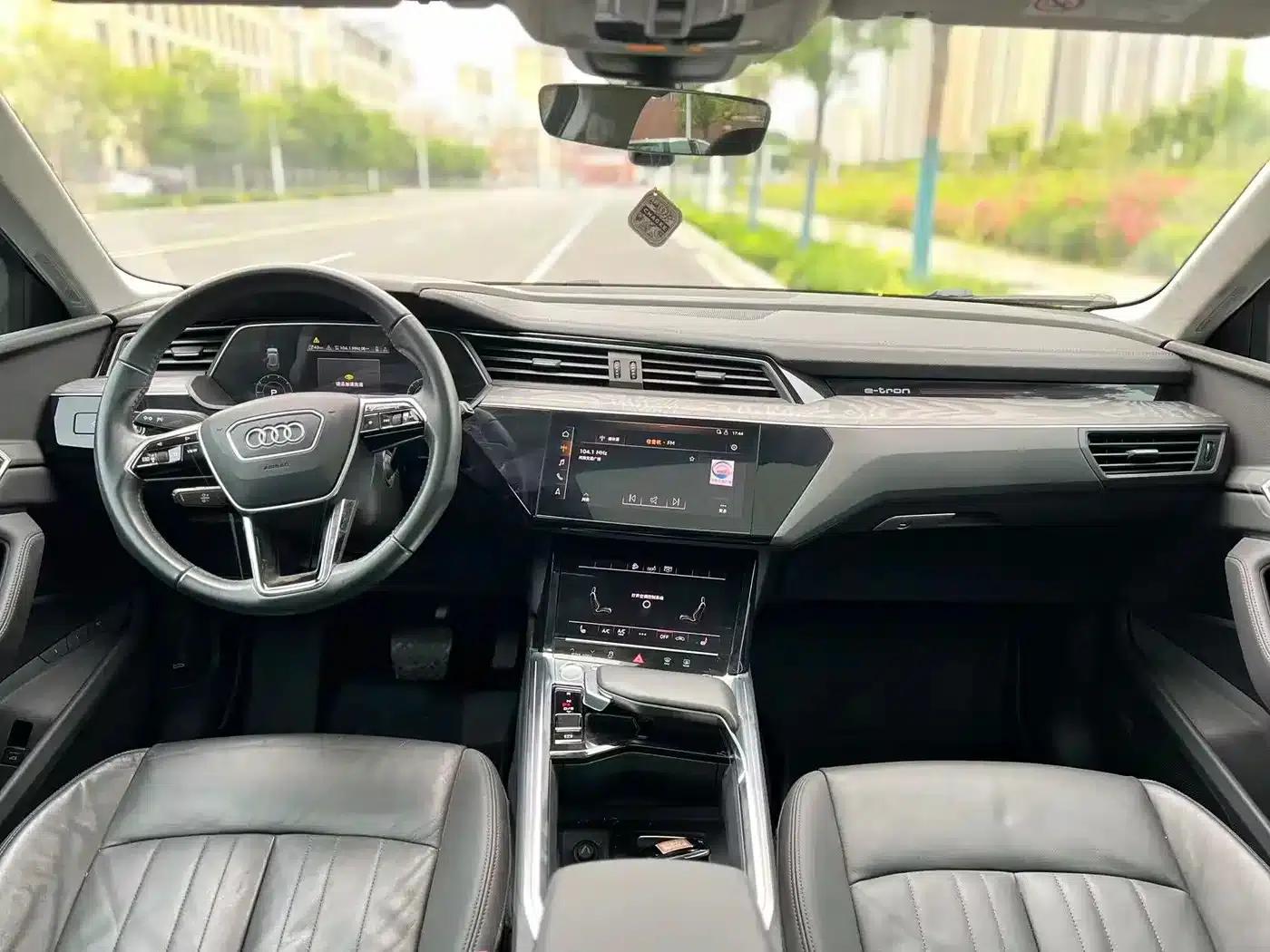 2019 Audi e-tron Imported Model 55 quattro Fashion Edition — миниатюра 6