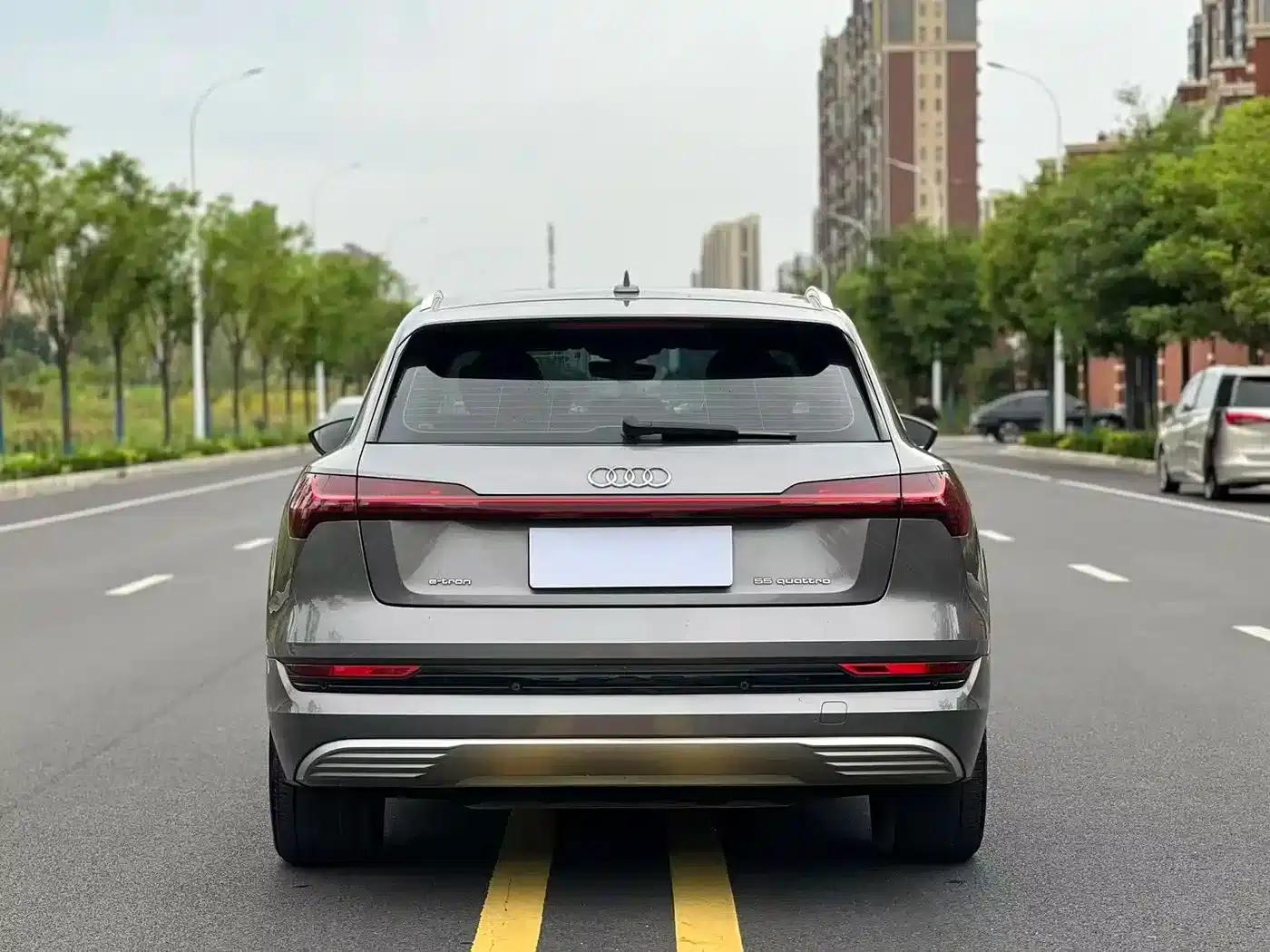 2019 Audi e-tron Imported Model 55 quattro Fashion Edition — миниатюра 8