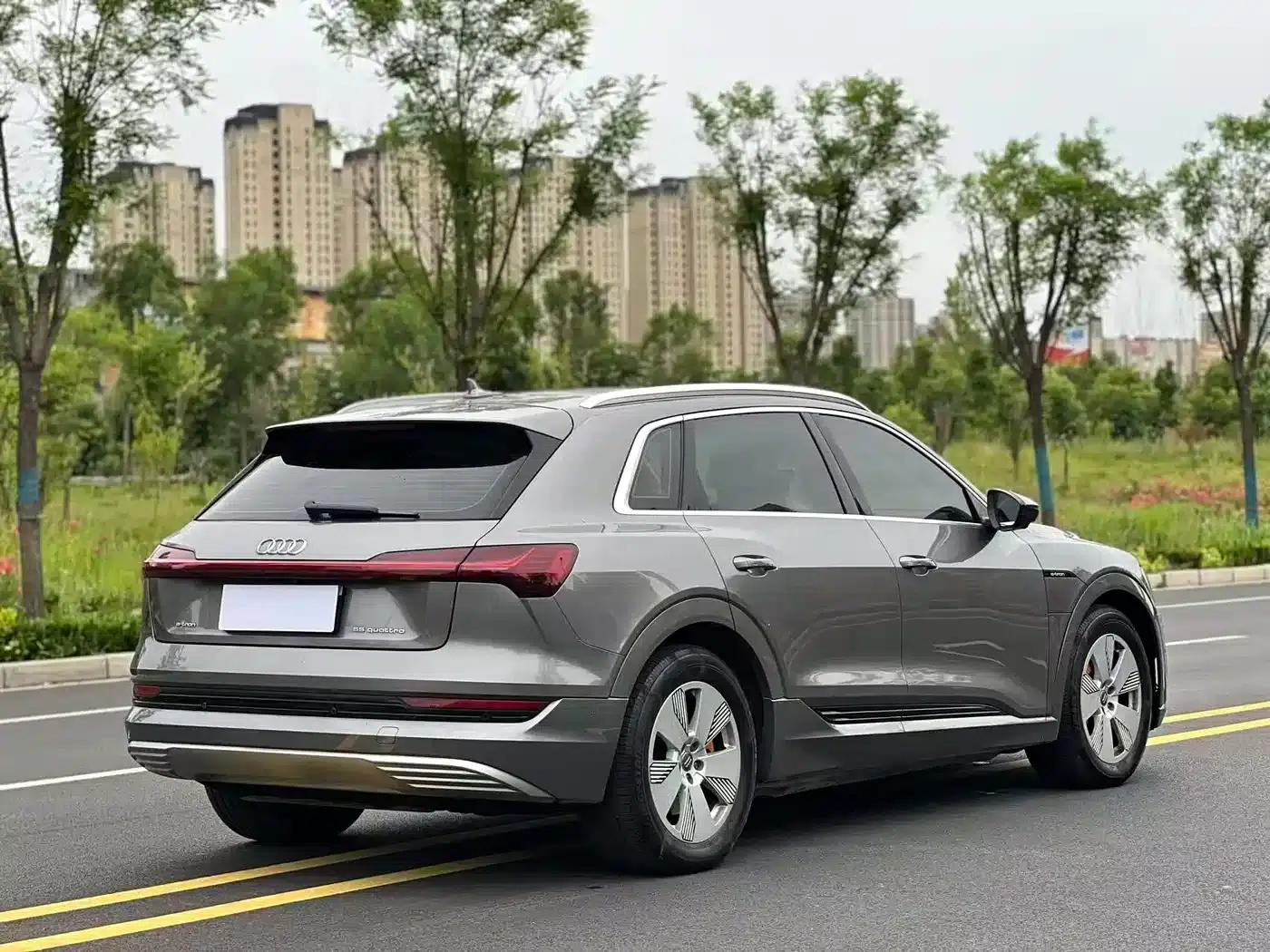 2019 Audi e-tron Imported Model 55 quattro Fashion Edition — миниатюра 9