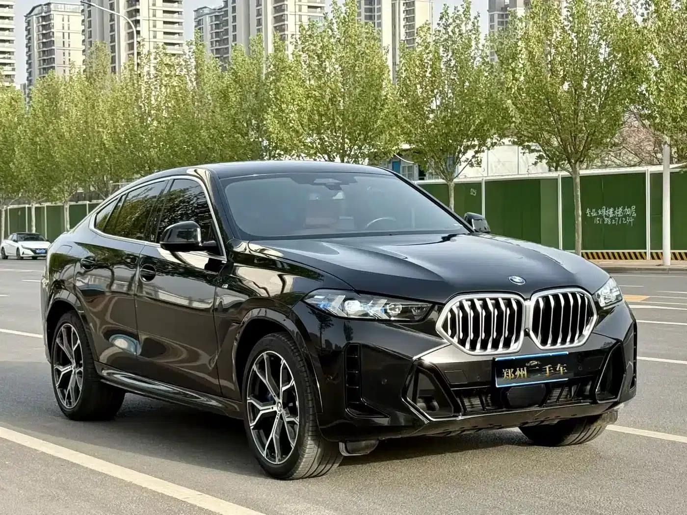 BMW X6 2023 xDrive40i Luxury M Sport Package — миниатюра 3