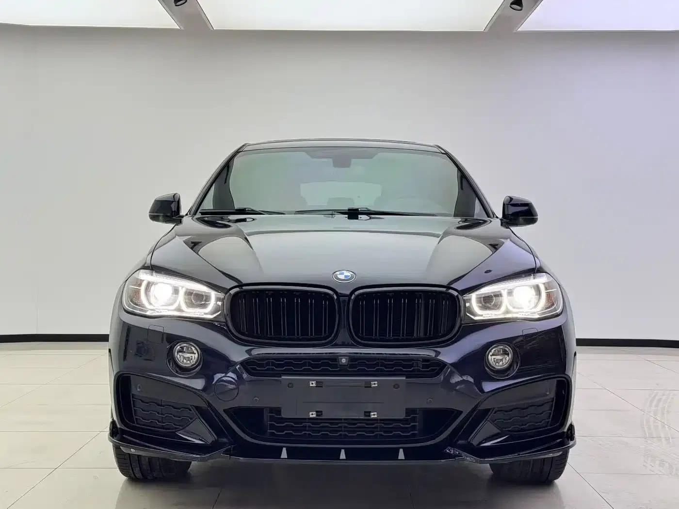 BMW X6 2017 xDrive35i Luxury — миниатюра 2