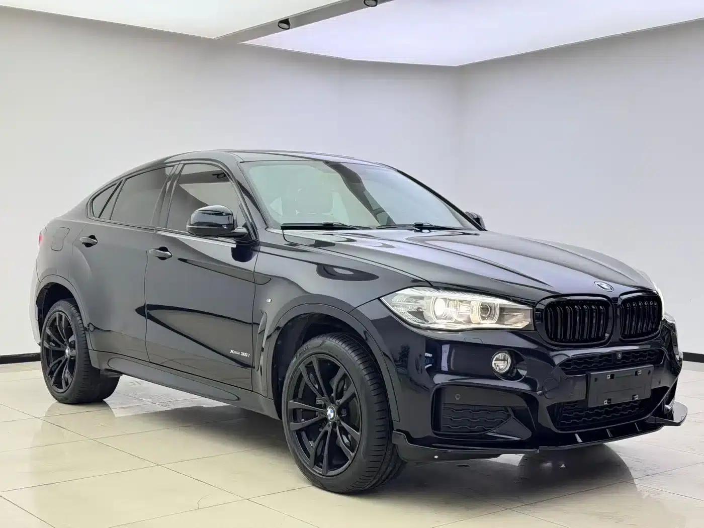 BMW X6 2017 xDrive35i Luxury — миниатюра 3