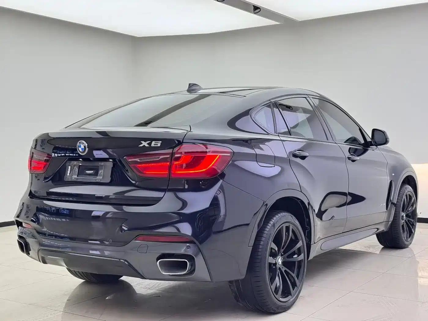 BMW X6 2017 xDrive35i Luxury — миниатюра 7