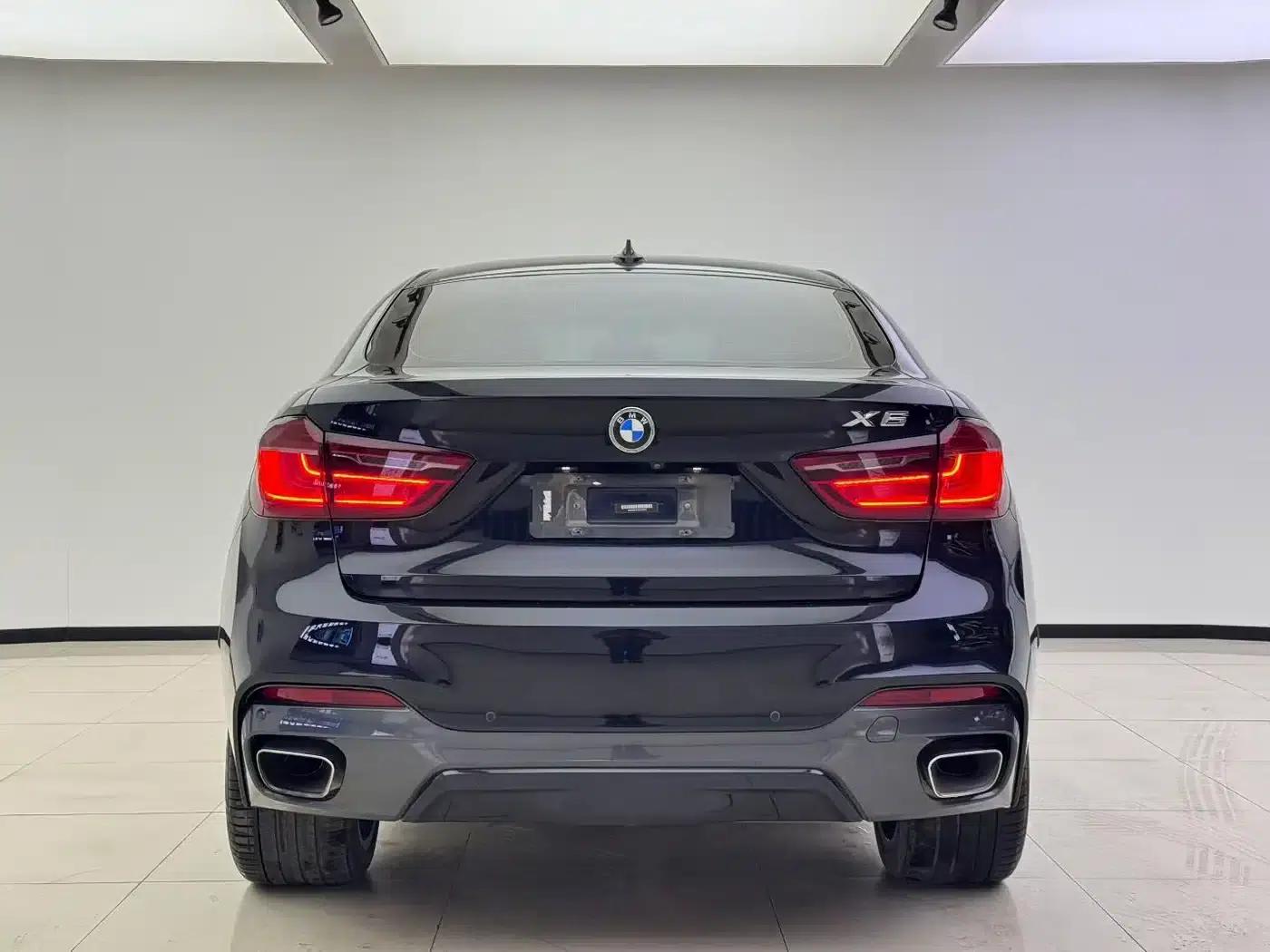 BMW X6 2017 xDrive35i Luxury — миниатюра 8