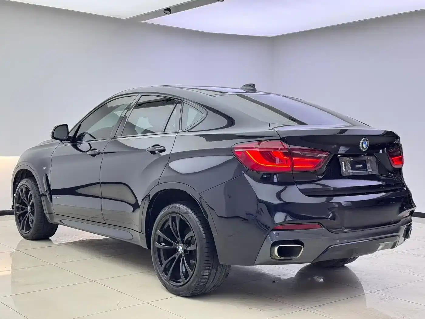 BMW X6 2017 xDrive35i Luxury — миниатюра 9
