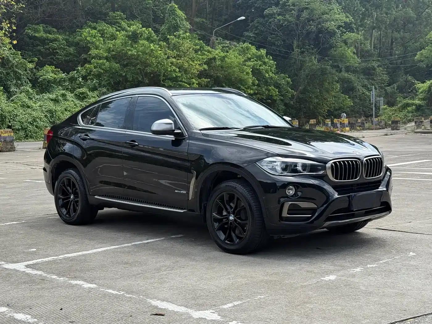 BMW X6 2018 xDrive28i — миниатюра 2