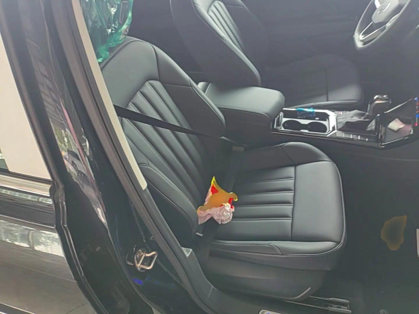 Volkswagen Passat New Energy 2025 430 PHEV Hybrid Business Edition — миниатюра 23