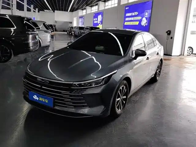 Destroyer 05 2024 Glory Edition DM-i 55KM Luxury Model