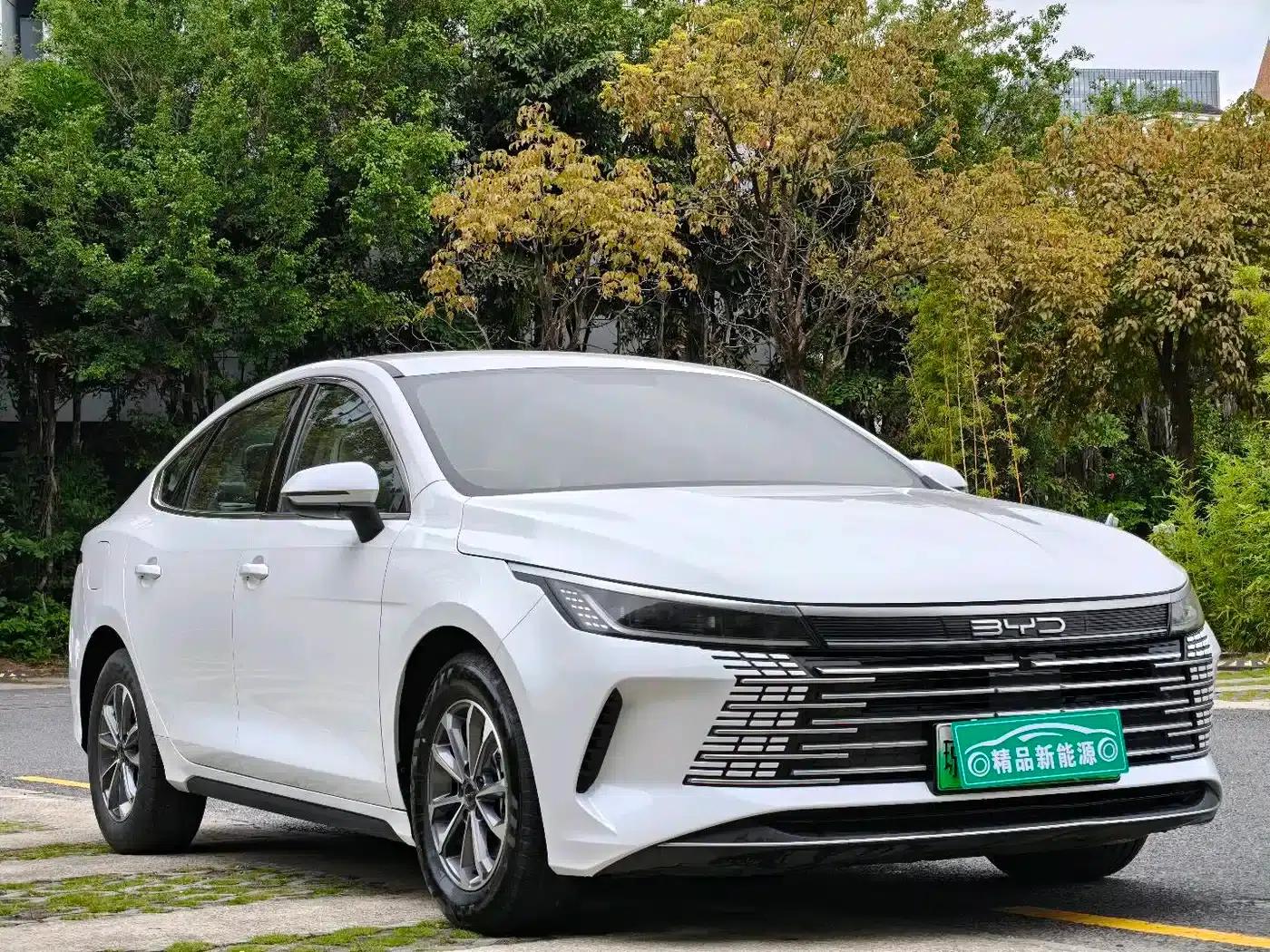 Destroyer 05 2024 Glory Edition DM-i 55KM Luxury Model — миниатюра 3