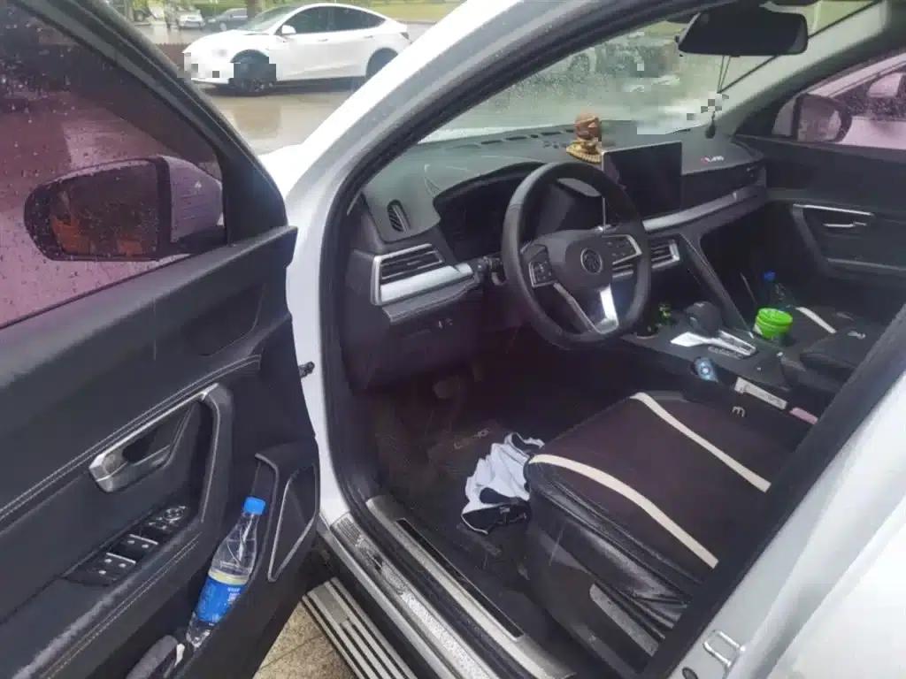 Song Pro 2019 1.5T Automatic Luxury Edition — миниатюра 13