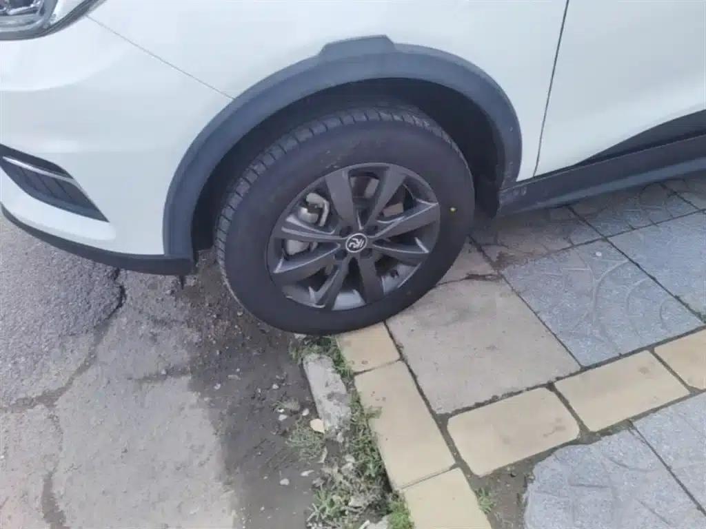 Yuan New Energy 2019 EV535 Intelligent Leading Edition — миниатюра 23