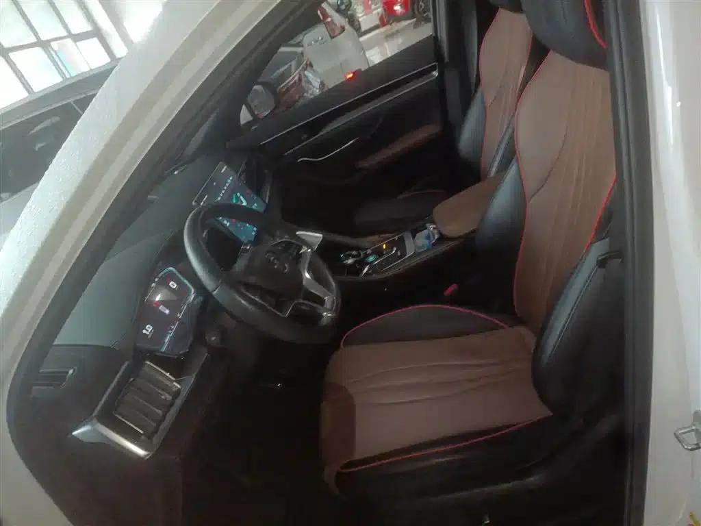 Song PLUS 2020 1.5T Automatic Flagship Edition — миниатюра 14