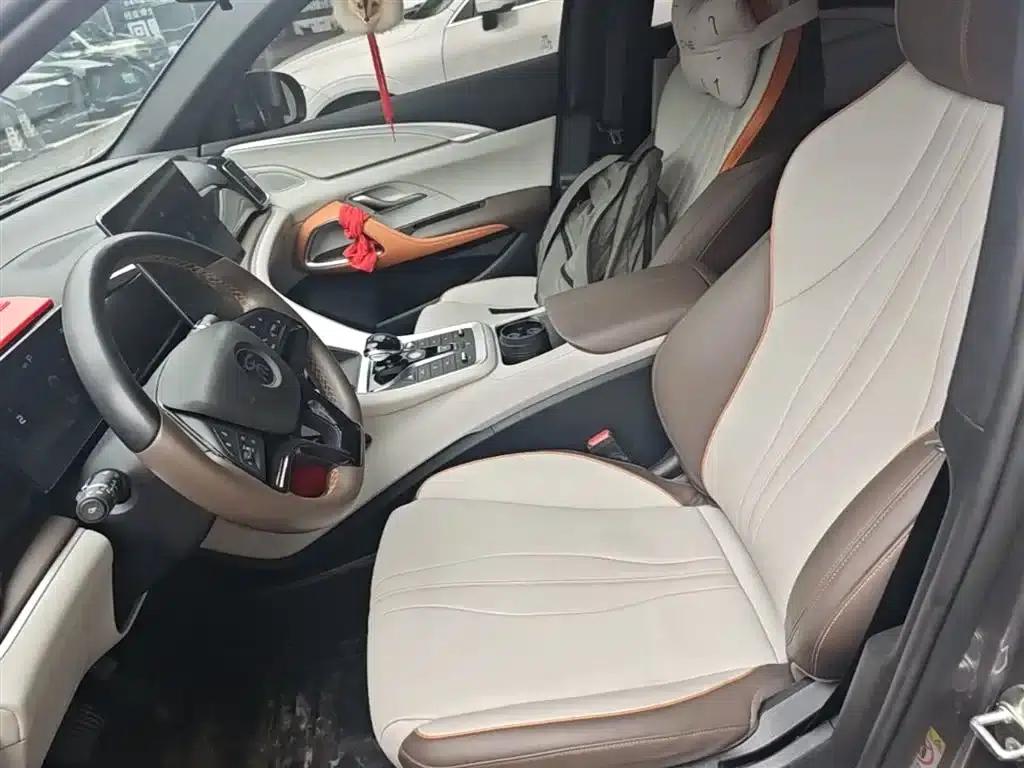 Song Pro New Energy 2022 DM-i 110km Flagship Edition — миниатюра 15
