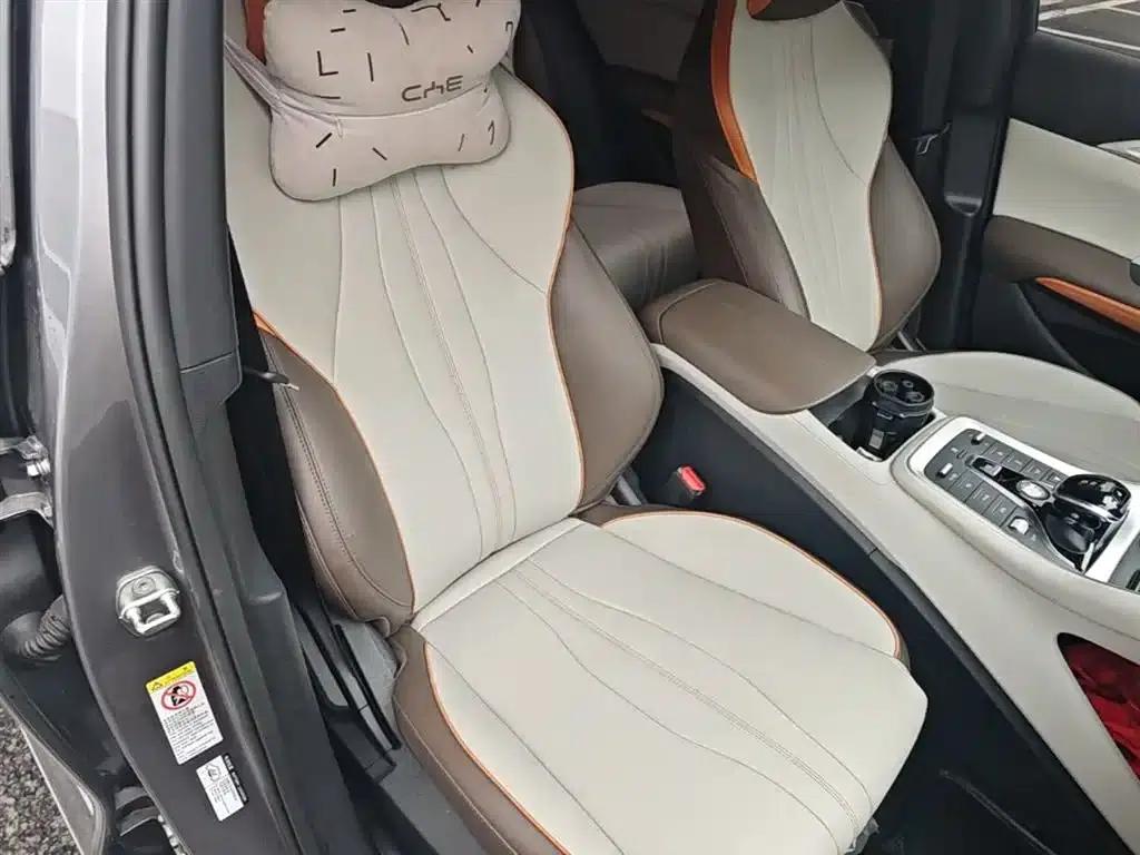 Song Pro New Energy 2022 DM-i 110km Flagship Edition — миниатюра 25