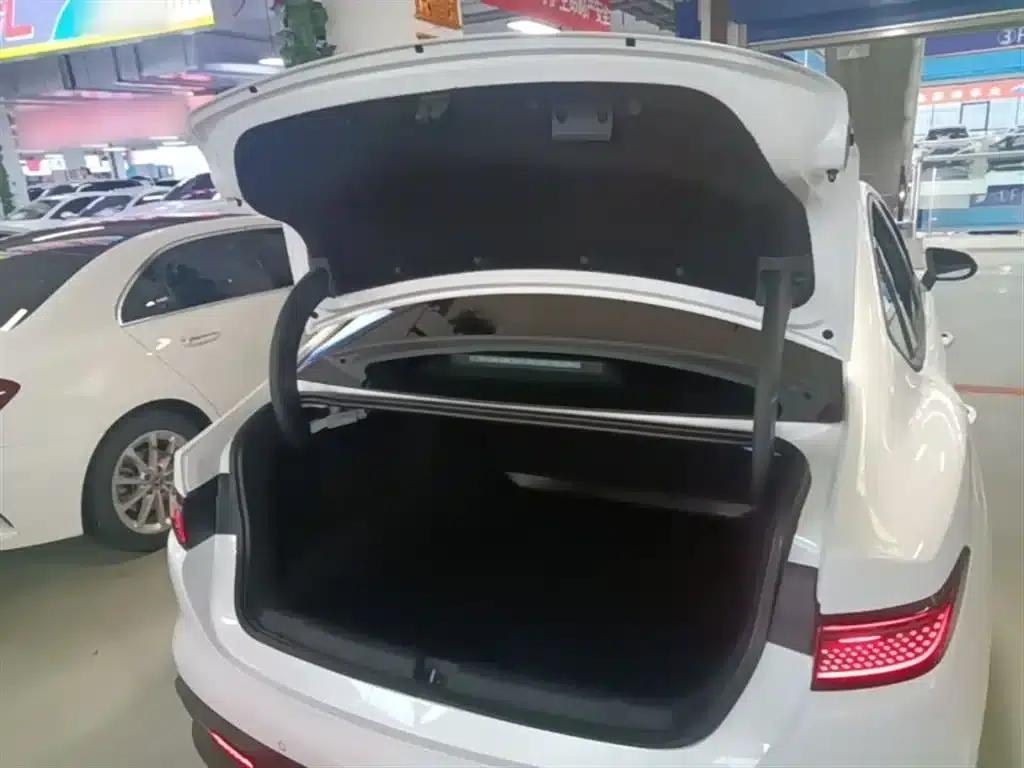 Seal 05 DM-i 2025 DM-i Intelligent Driving Edition 55KM Luxury Model — миниатюра 19