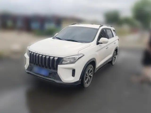 Dongfeng Fengon S560 2022 2.0L Manual Urban Version