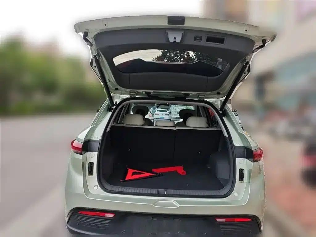 Joyful Edition 2025 model, 445km range — миниатюра 10