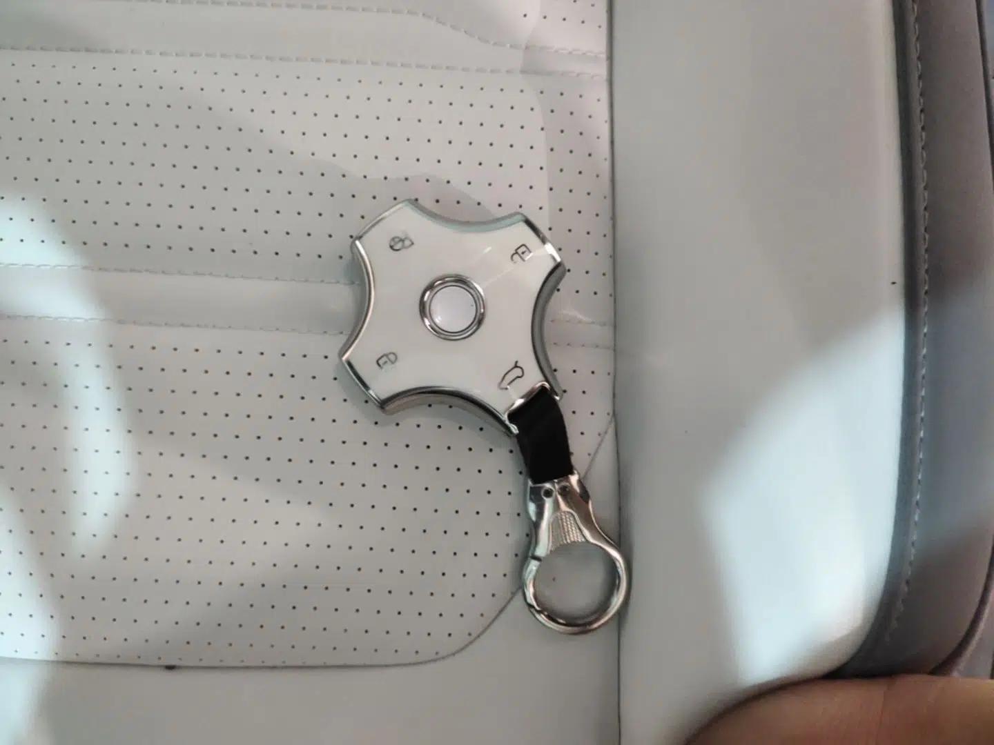 Dongfeng eπ eπ007 2024 530 Pro Version — миниатюра 22