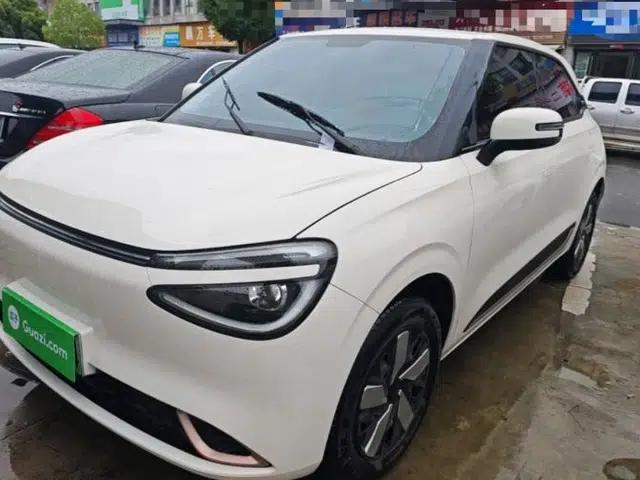 Dongfeng NAMMI 01 2024 New Edition 330 Air
