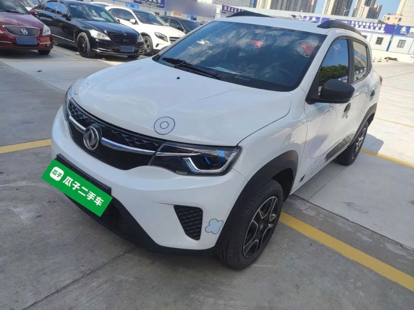 Dongfeng NAMMI EX1 2022 PRO Enjoyment Model — миниатюра 1