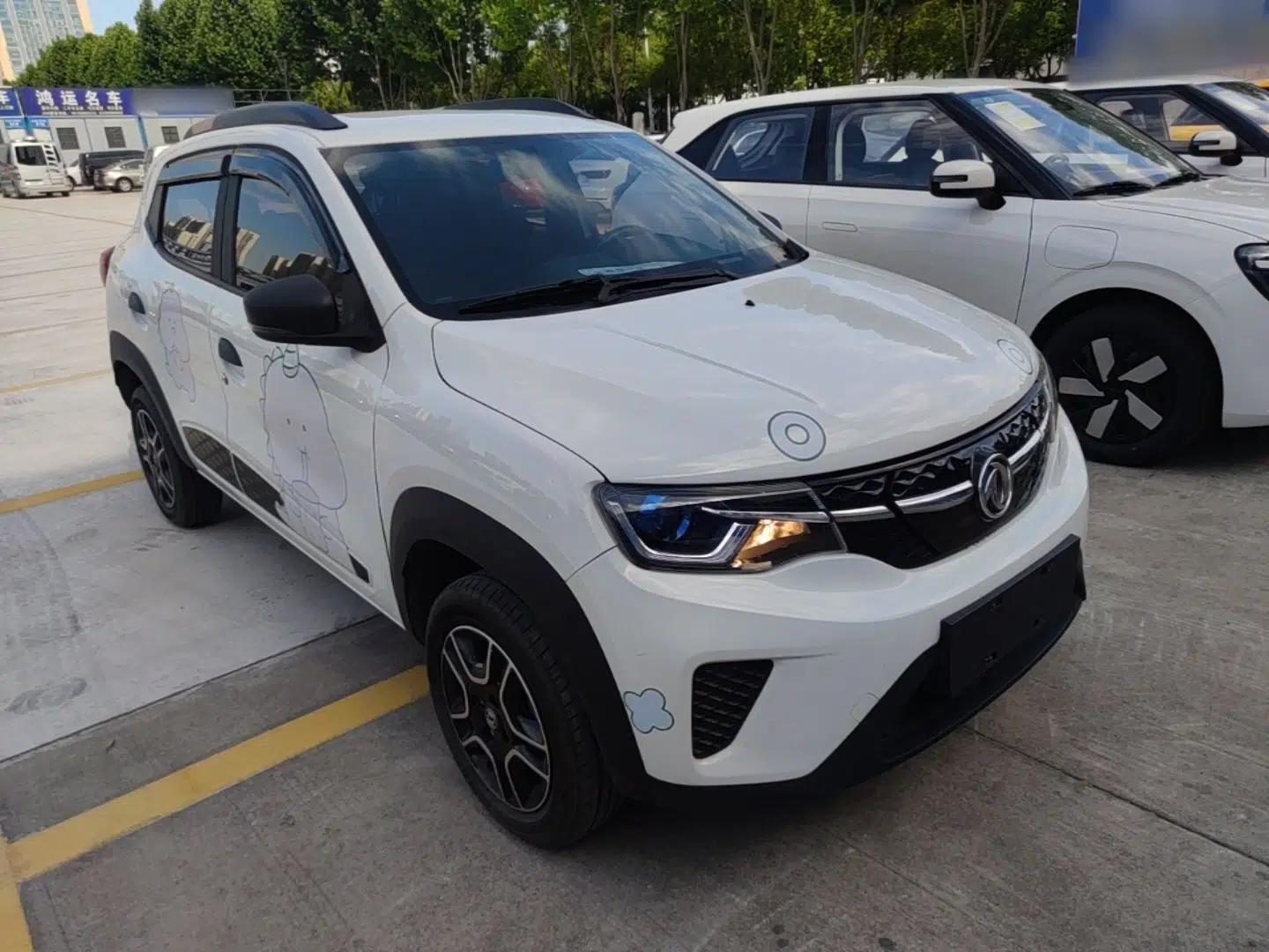 Dongfeng NAMMI EX1 2022 PRO Enjoyment Model — миниатюра 3