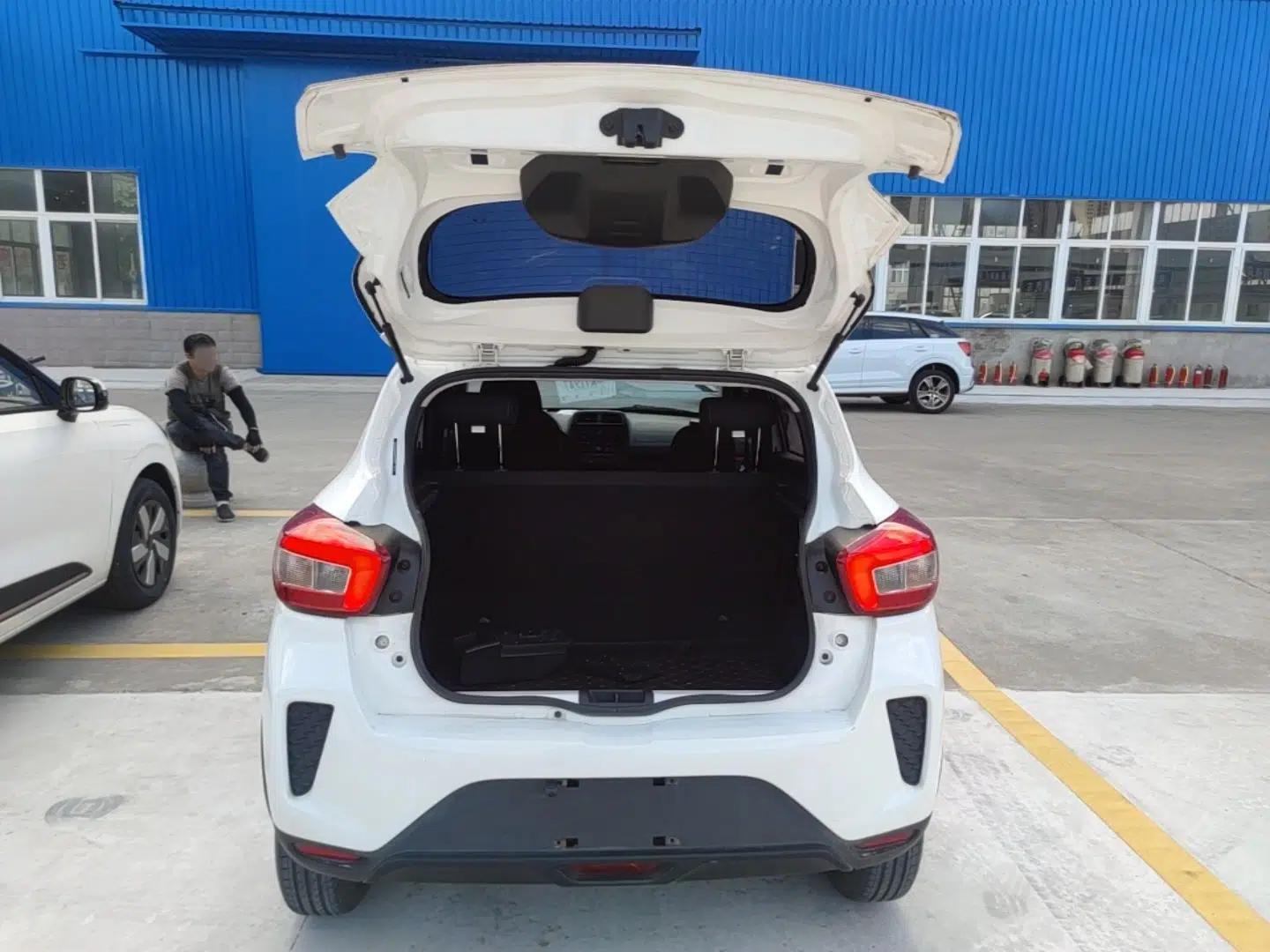 Dongfeng NAMMI EX1 2022 PRO Enjoyment Model — миниатюра 22