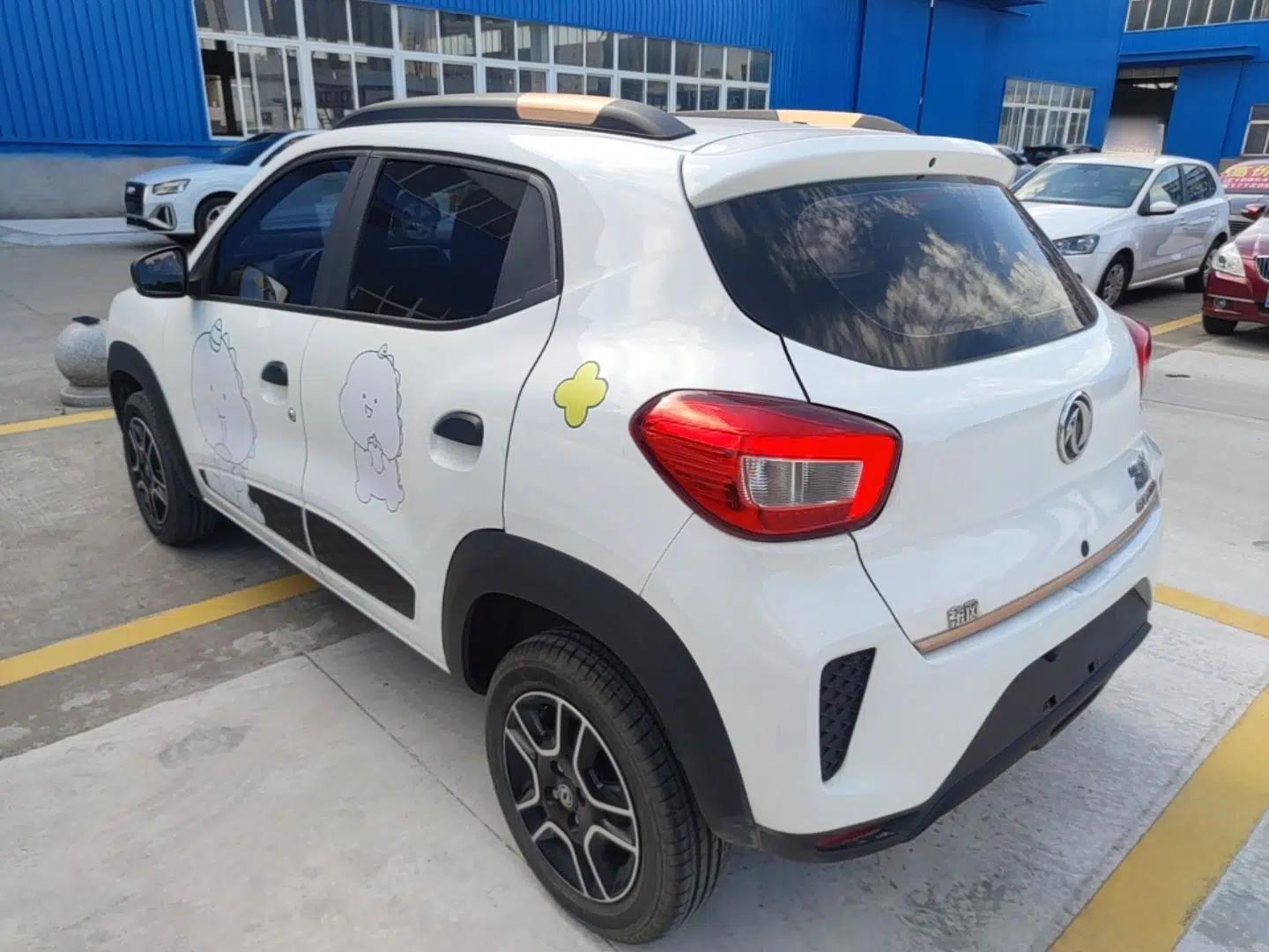 Dongfeng NAMMI EX1 2022 PRO Enjoyment Model — миниатюра 4