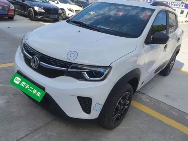 Dongfeng NAMMI EX1 2022 PRO Enjoyment Model