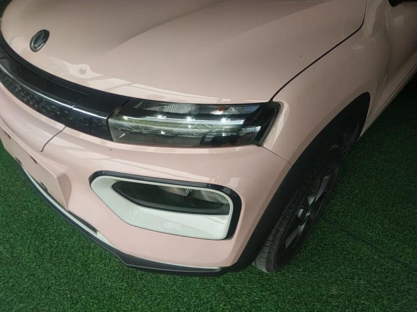 Dongfeng NAMMI BOX 2022 Chasing Wind Edition 331KM Advanced Model — миниатюра 9