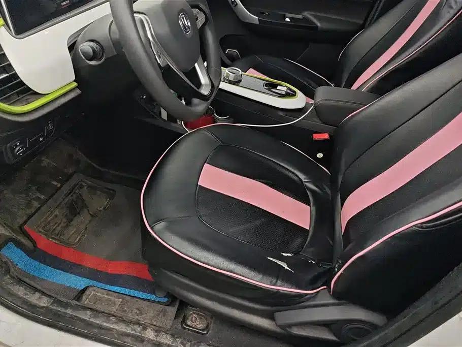 Changan Benben E-Star 2020 Heartbeat Edition Ternary Lithium Lithium — миниатюра 9