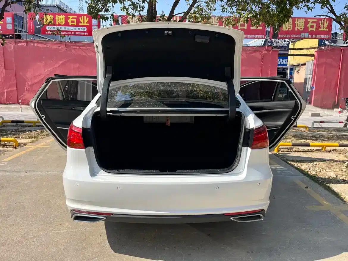 Ruicheng CC 2021 Blue Whale Edition 1.5T DCT Flagship Model — миниатюра 18