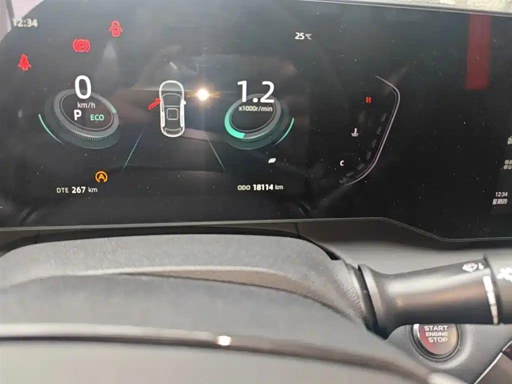 Ruicheng PLUS 2023 1.5T DCT Premium Edition — миниатюра 5
